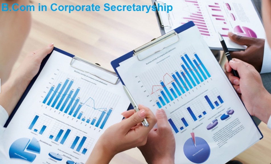 Online Bachelor of Commerce in Corporate Secretaryship in UAE