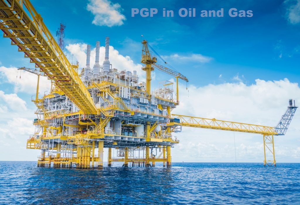 PGP in Oil and Gas in Andaman and Nicobar
